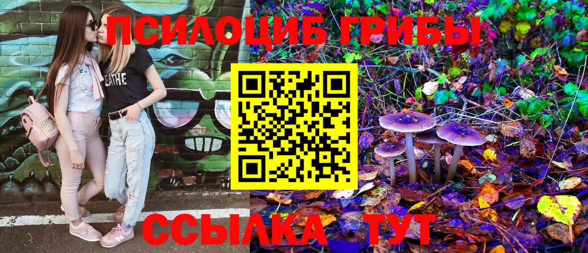 Псилоцибиновые грибы Psilocybine cubensis Ярославль